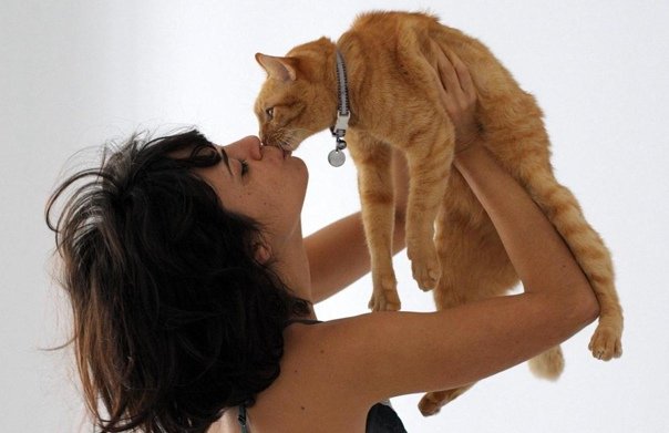 Девушка целует котенка