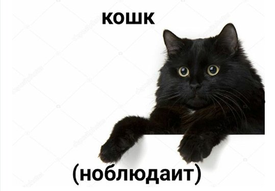 Крадущийся кот Мем