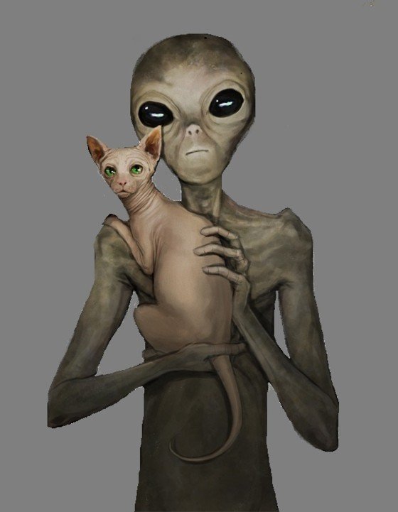 Коты инопланетяне