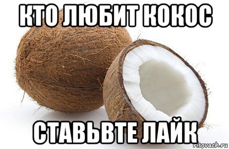 Кокос прикол