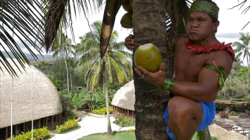 Негр с кокосом