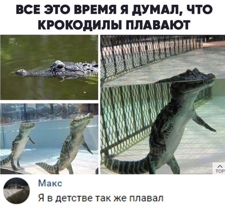 Крокодил в воде