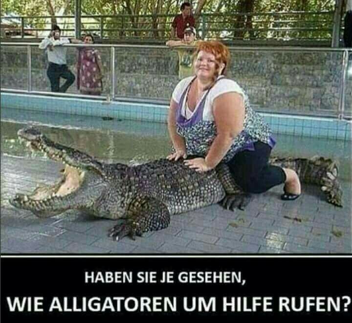 Картинки приколы