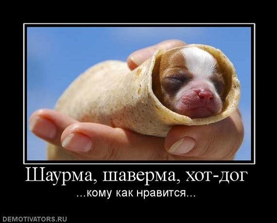 Собака с шаурмой Мем