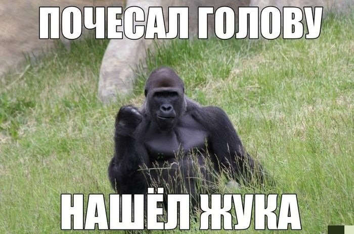 Горилла прикол