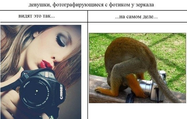 Фотографирует прикол