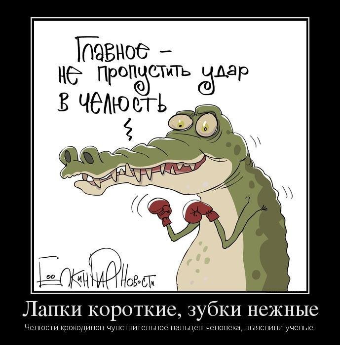 Смешной Крокодильчик