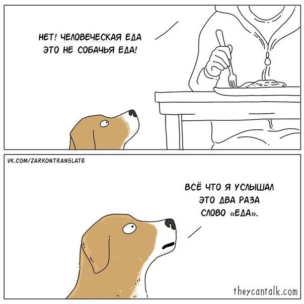 Мемы про собак комиксы