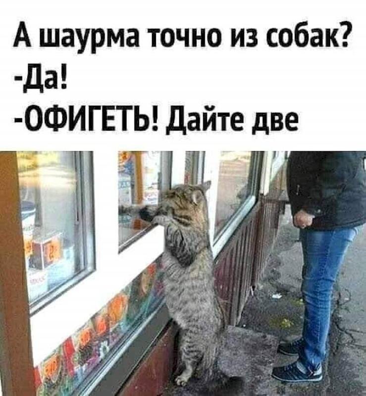 Мемы про шаурму