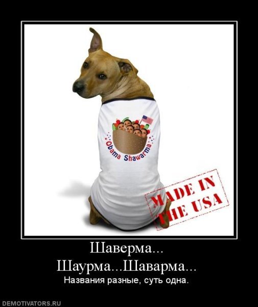 Шаверма Мем