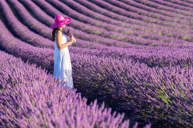Девушка в лавандовом поле
