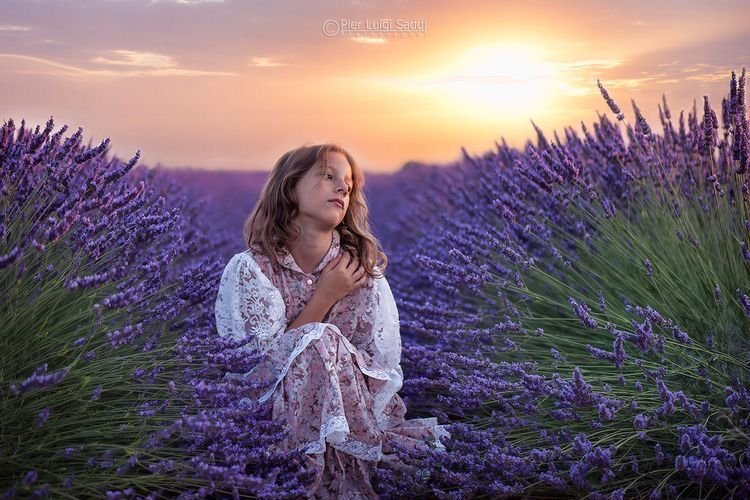 Съемка в лавандовых полях