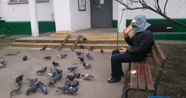 Человек кормит голубей