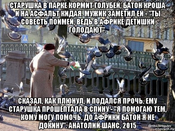 Старушка в парке кормит голубей батон