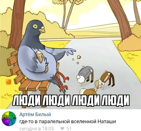 Голубь прикол