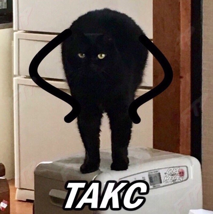Мемный черный кот