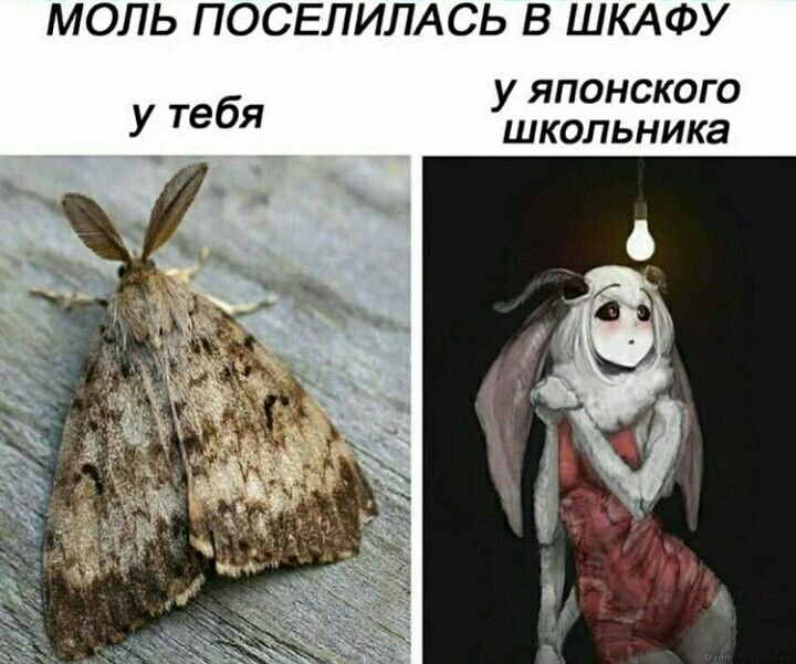 Моль прикол