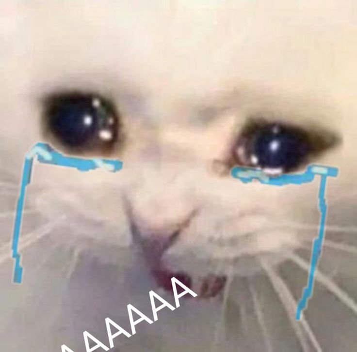 Плачущий кот