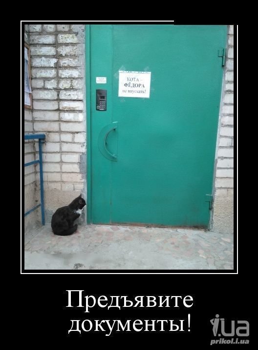 Кот в подъезде