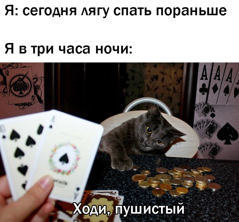Коты Покер