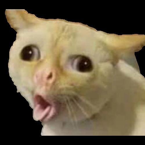 Кот с губами в трубочку