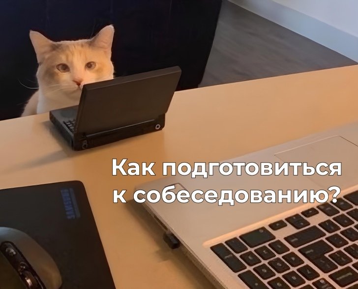 Мемо котики