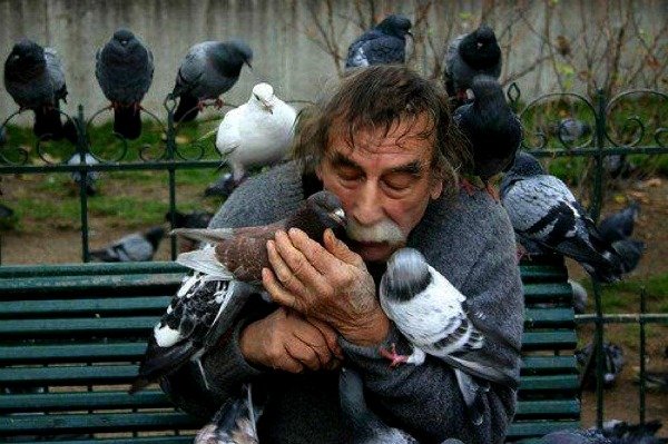 Мужчина с голубями