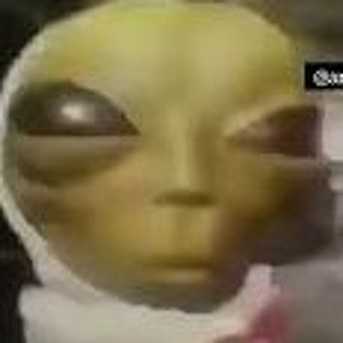 Инопришеленец флексит