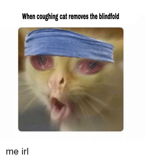 Котенок кашляет