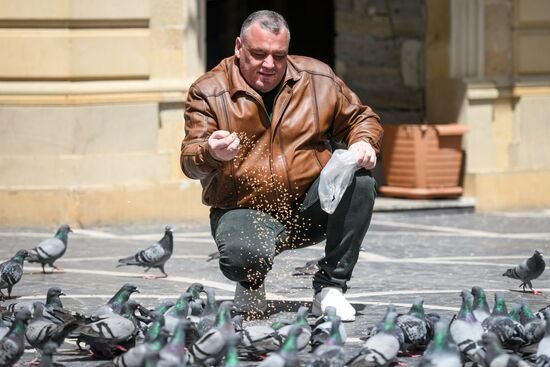 Мужчина кормит голубей