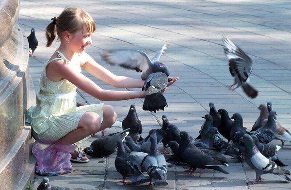 Фотосессия с голубями