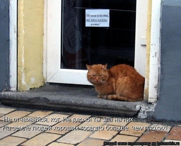 Кота не пускать