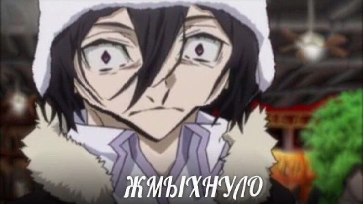 Фёдор Достоевский БСД