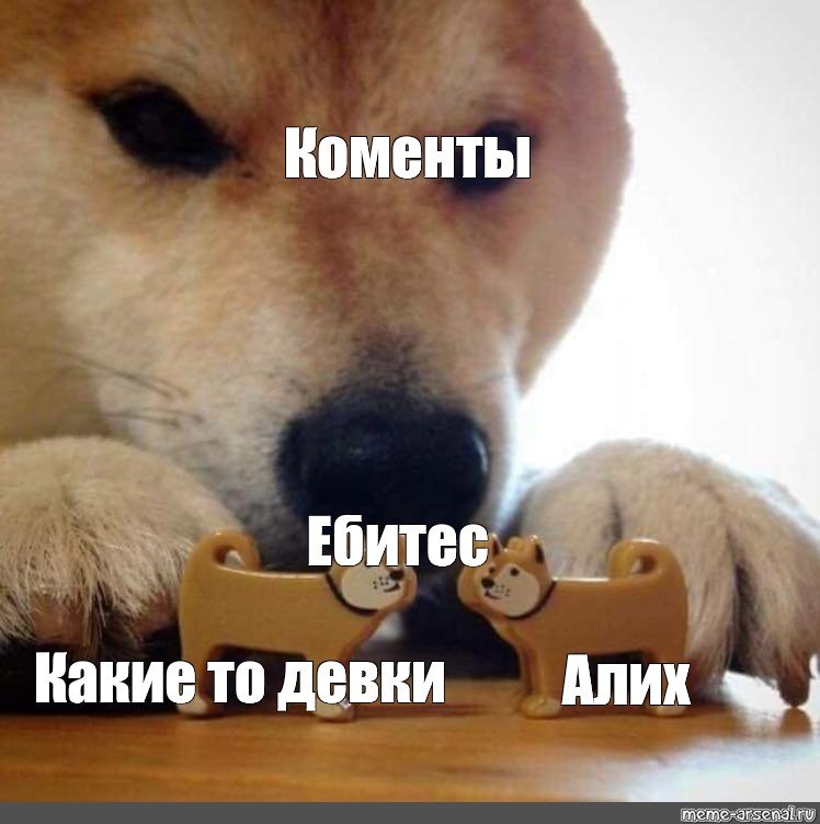 Мем пес ебитес