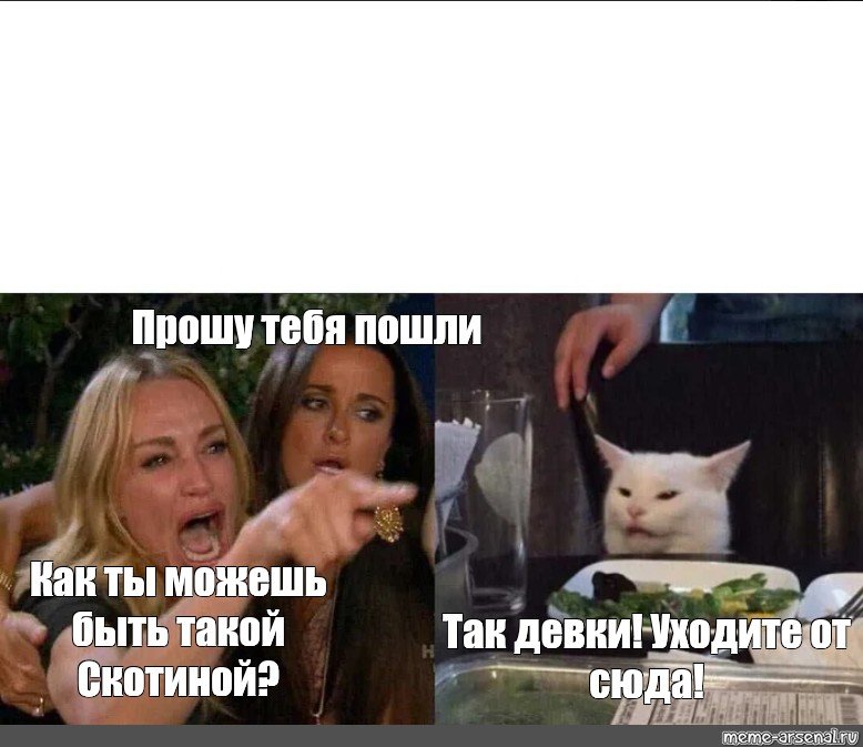 Коты мемы под столом