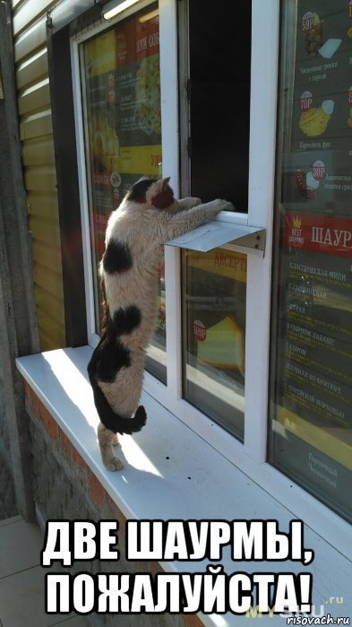 Смешная шаурма