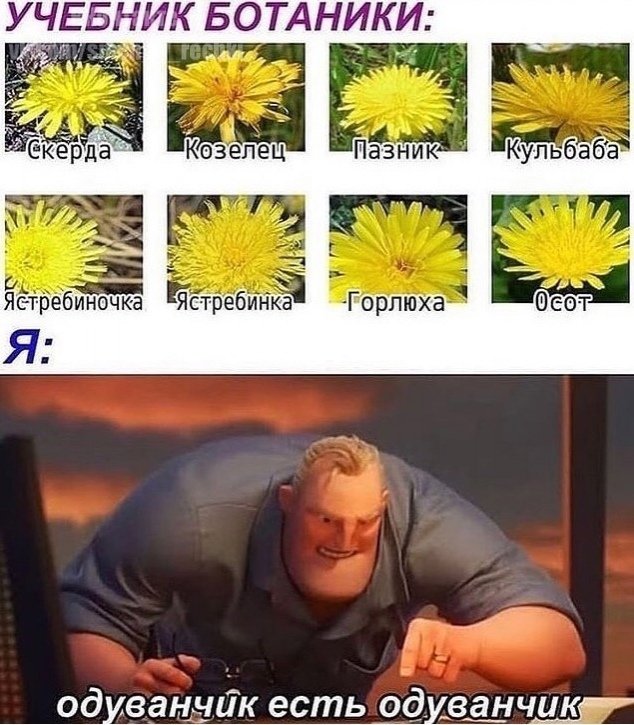 Девушка ест одуванчик