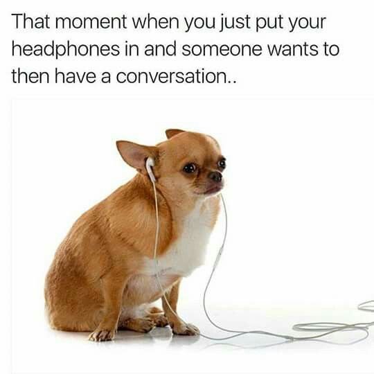 Собака печальная