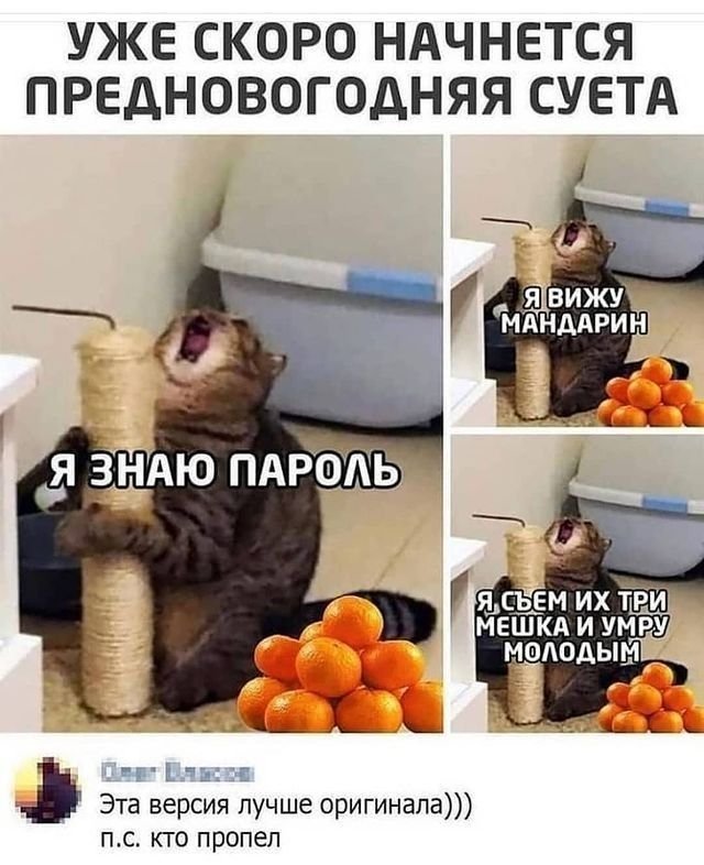 Я знаю пароль я вижу мандарин я съем их три
