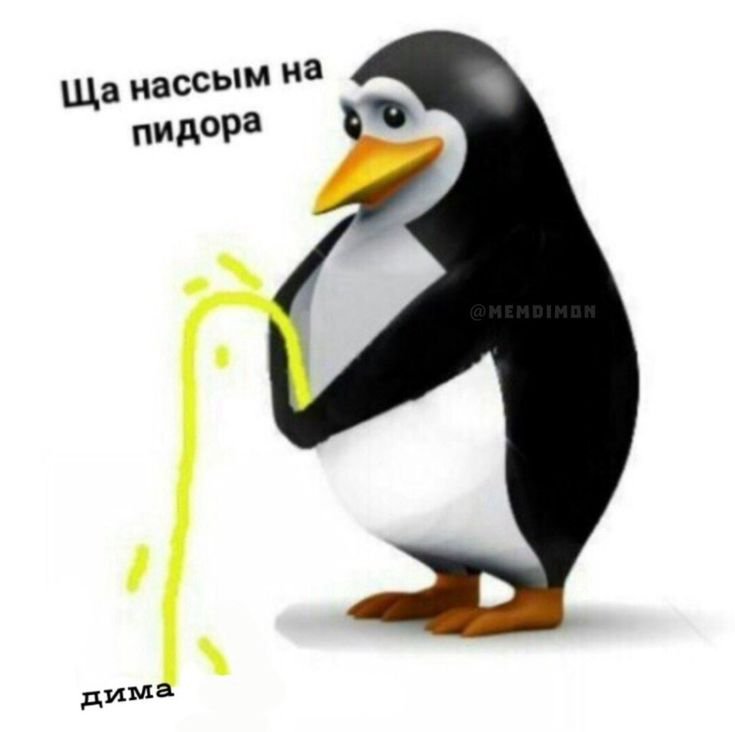Пингвин Мем