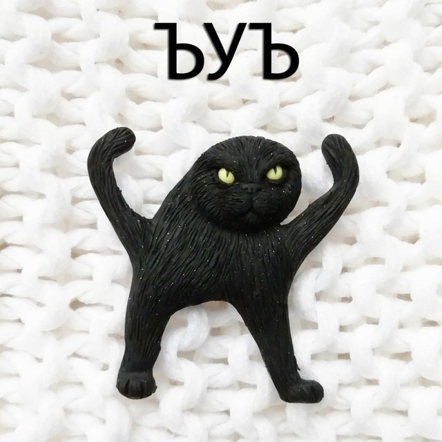 Черный кот Мем