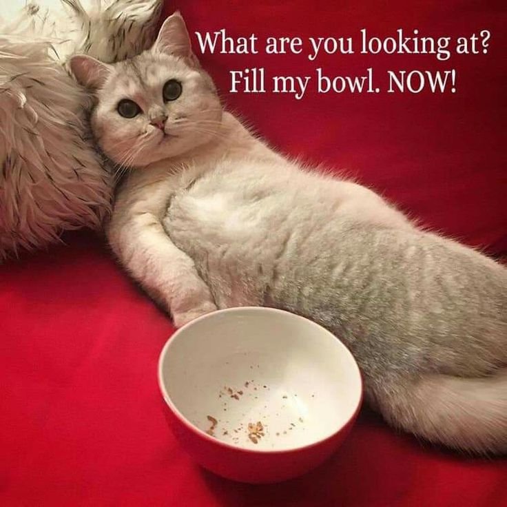 Объевшийся человек