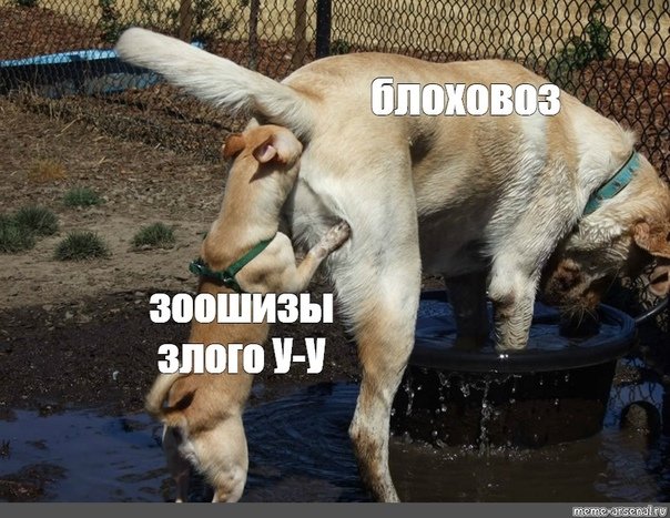 Смешно до слёз