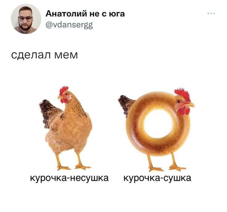 Курочка Несушка Курочка сушка