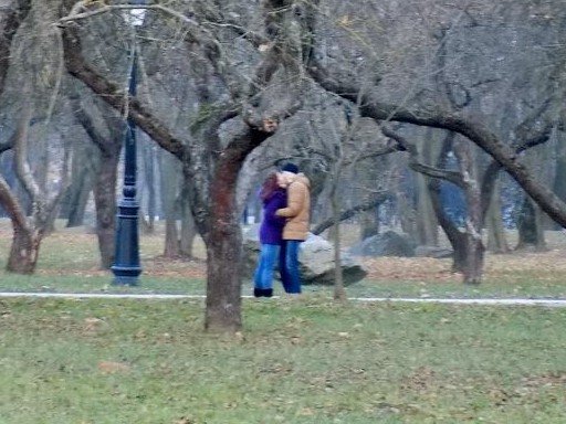 Мем с гуляющим мужиком в парке