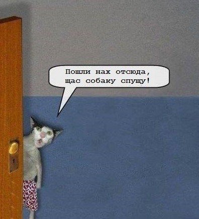 Спустить собак