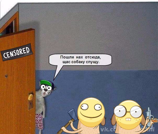 Кот сейчас собаку спущу