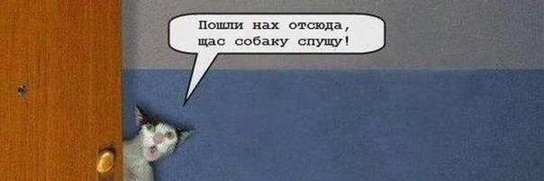 Пошел отсюда