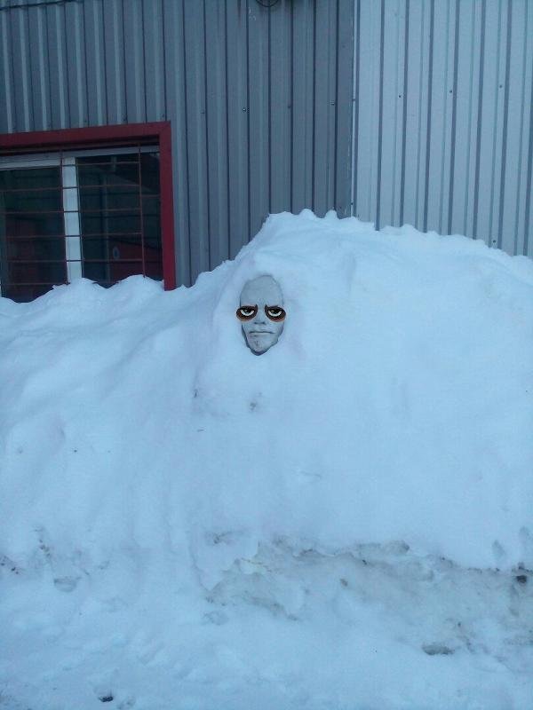 Много снега прикол