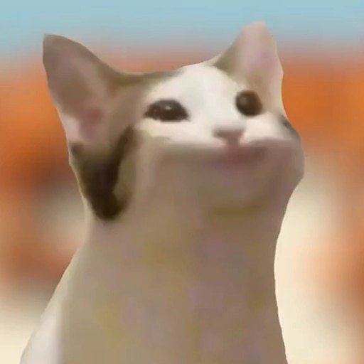 Кот открывает рот